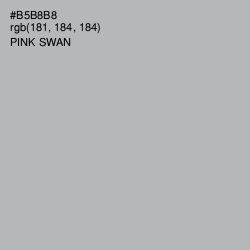 #B5B8B8 - Pink Swan Color Image